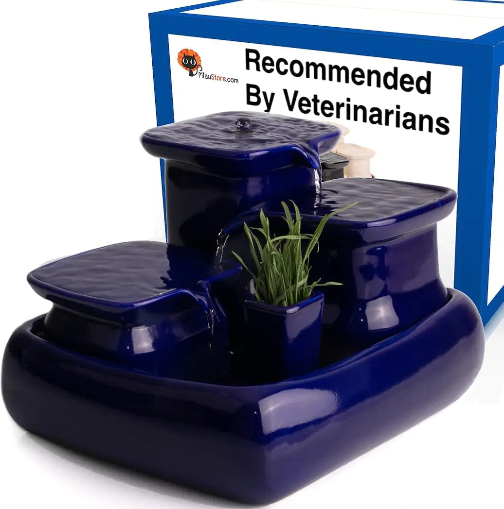 Ceramic HydroGarden - Blue